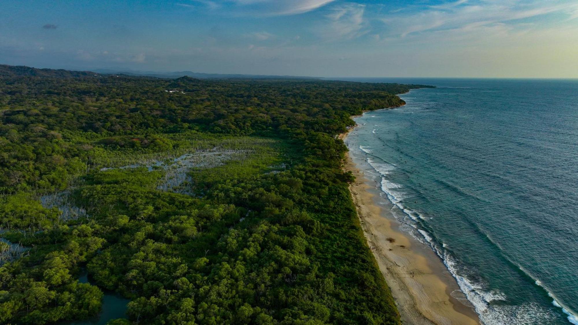 Beach Walk Costa Rica Playa Avellana Eksteriør bilde